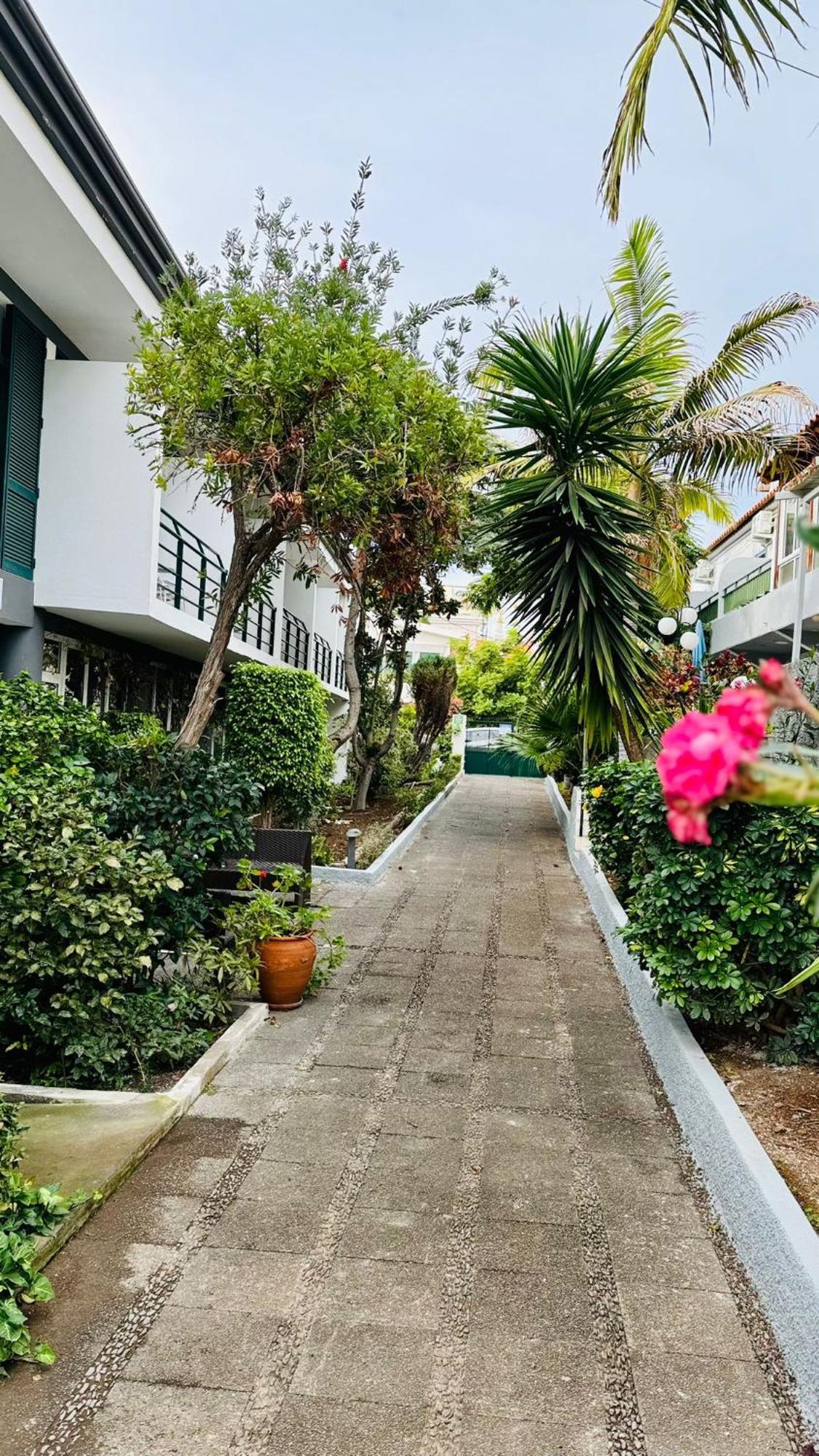 Guest house Monte