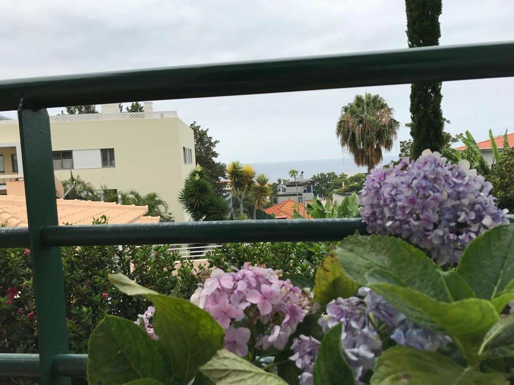Monte * Funchal (Madeira)